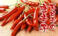 �V�����̓��h�q